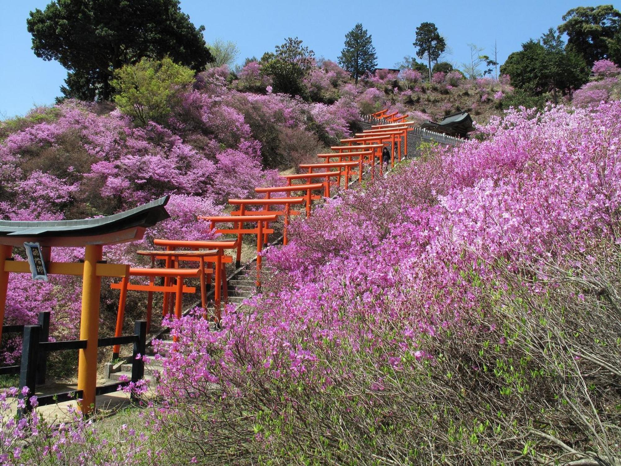 Mercure Kyoto Miyazu Resort & Spa المظهر الخارجي الصورة